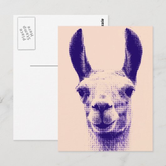 Llama-Briefkaart Briefkaart (Voorkant / Achterkant)