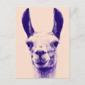 Llama-Briefkaart Briefkaart (Voorkant)