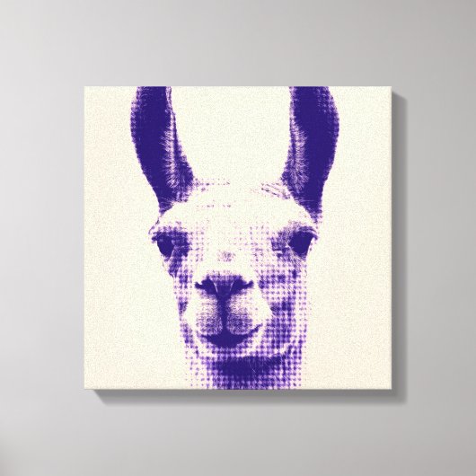 Llama Canvas Print (Voorkant)