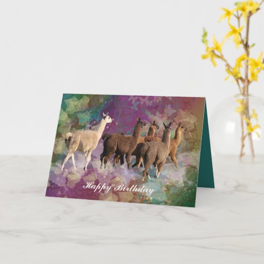 Llama cloud Fanty - White and Brown Llamas Kaart (Gele Bloem)