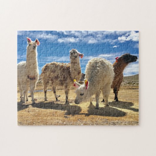 Llama Crew Legpuzzel (Horizontaal)