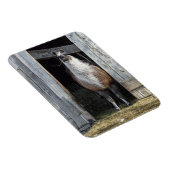 Llama, die de dag begroet magneet (Rechterzijde)