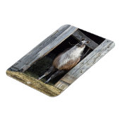Llama, die de dag begroet magneet (Linkerzijde)
