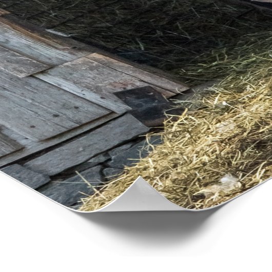 Llama, die de dag begroet poster (Hoek)