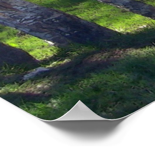 Llama door bomen poster (Hoek)