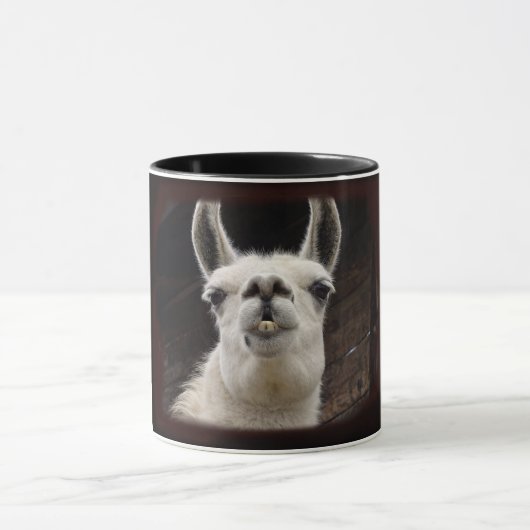 Llama Drama – Ich hab dich im Blick Mok (Midden)