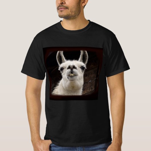 Llama Drama – Ich hab dich im Blick T-shirt (Voorkant)