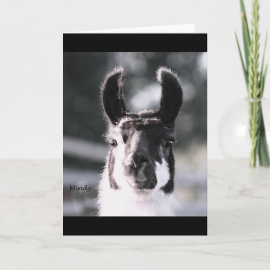 Llama Ears Kaart (Voorkant)