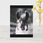 Llama Ears Kaart (Gele Bloem)