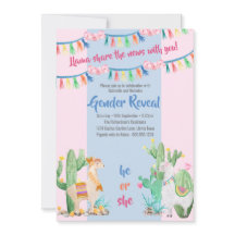 Llama en Cactus roze en blauw Geslacht onthullen