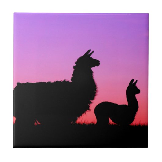 Llama en cria silhouette tegeltje (Voorkant)