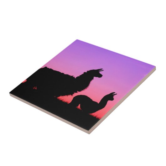 Llama en cria silhouette tegeltje (Zijkant)