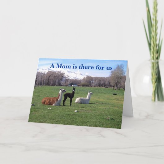 Llama en jong kaart (Voorkant)