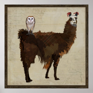 LLAMA en OWL-Poster Poster