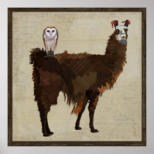 LLAMA en OWL-Poster Poster (Voorkant)