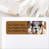 Llama Etiket (Insitu)