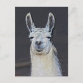 Llama Face Animal Art Personalized Briefkaart (Voorkant)