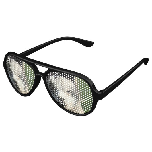 Llama Face Aviator Zonnebril (Gekanteld)