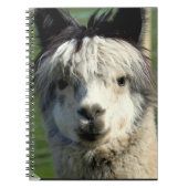 Llama Face-laptop Notitieboek (Voorkant)