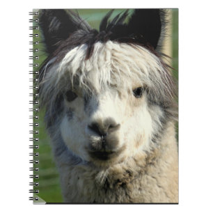 Llama Face-laptop Notitieboek