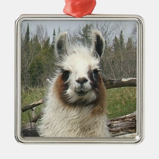 LLAMA FACE METALEN ORNAMENT (Voorkant)