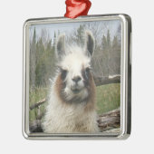 LLAMA FACE METALEN ORNAMENT (Links)