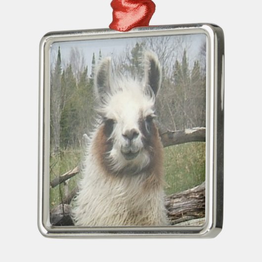 LLAMA FACE METALEN ORNAMENT (Links)