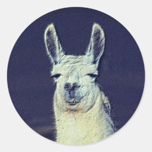 Llama Face Pencil Art Ronde Sticker