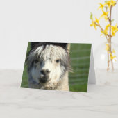 Llama Face Wenskaart Kaart (Gele Bloem)