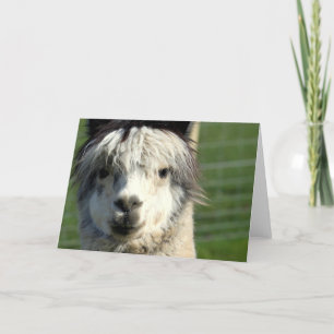 Llama Face Wenskaart Kaart