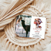 Llama Fiesta Grappige Karikatuur 1e Verjaardag Kaart