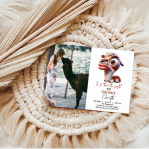 Llama Fiesta Grappige Karikatuur 1e Verjaardag Kaart