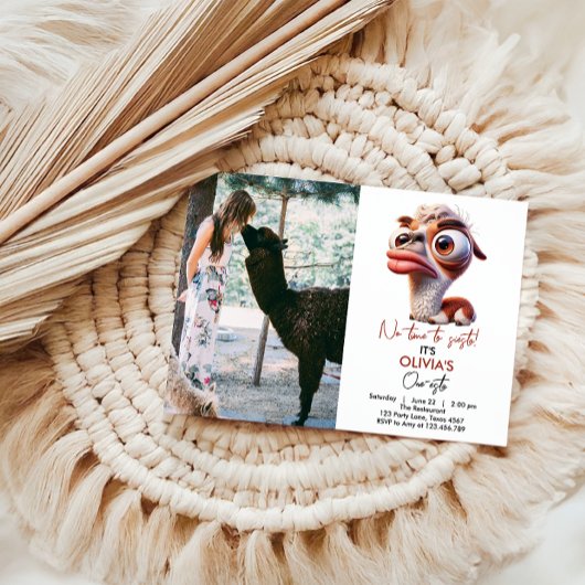 Llama Fiesta Grappige Karikatuur 1e Verjaardag Kaart