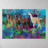 Llama Five Walk in Fantasy Land voor Camelids Poster (Voorkant)