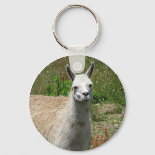 Llama-foto Sleutelhanger