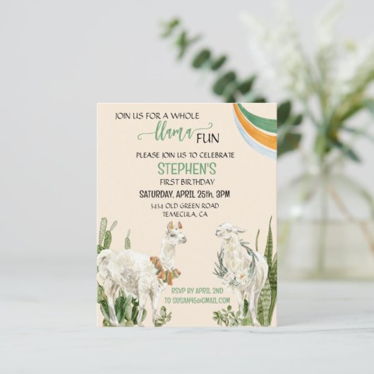 Llama Fun Birthday Party Fiesta Cactus Budget (Staand voorkant)