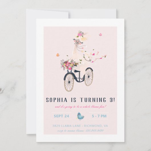 Llama Fun Birthday Party Kaart (Voorkant)