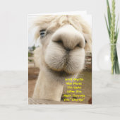 Llama Funny Birthday Card Kaart (Voorkant)