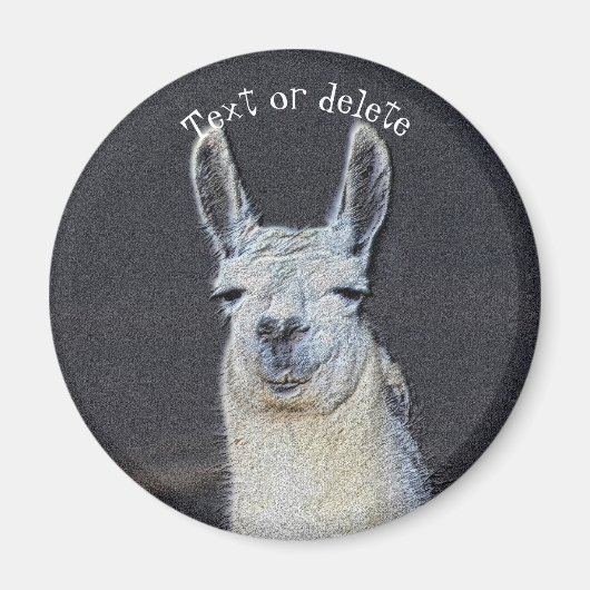 Llama Gezicht Dier Kunst Persoonlijk Magneet (Voorkant)