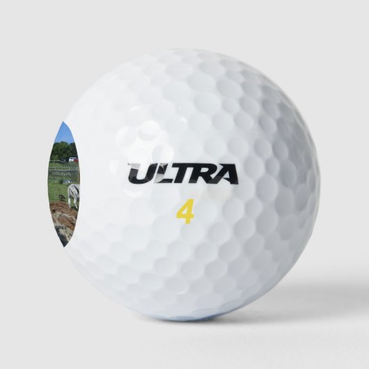 Llama Golfballen (Logo)