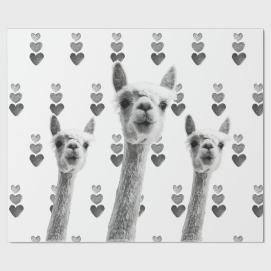 Llama hartencadeautje cadeaupapier (Vlak)