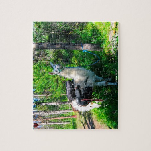 Llama Idaho Legpuzzel (Verticaal)