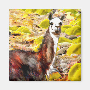 Llama in Andes Mountains Peru Magneet