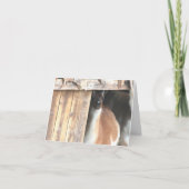 Llama In Barn Farm Animal Personalized Note Kaart (Voorkant)