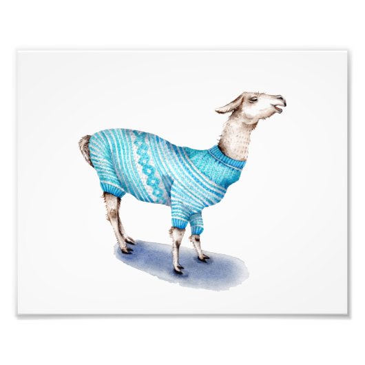 Llama in blauwe trui foto afdruk (Voorkant)