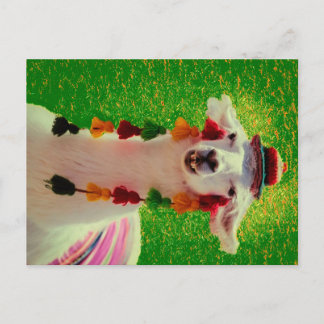 Llama in Chiloe-Chile with ornaments Aankondigingskaart