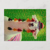 Llama in Chiloe-Chile with ornaments Aankondigingskaart (Voorkant)