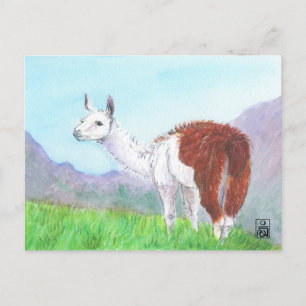 Llama in de Andes Briefkaart