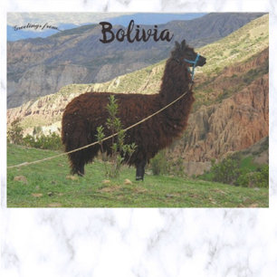 Llama in de Vallei van de Zielen Bolivia Briefkaart