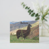 Llama in de Vallei van de Zielen Bolivia Briefkaart (Staand voorkant)